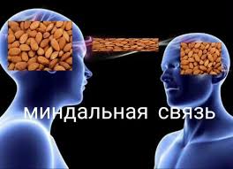 Ксюша2206
